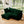 Slipcovered Sectional 2 Seater Sofa Couch with Convertible Ottoman