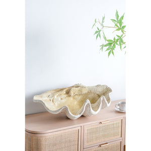 Large Clam Shell Accent 25.3x16.5x8.5"