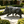 Simulated Wild Boar Resin Garden Statue