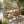 7 Pieces Acacia Wood Outdoor Dining Set with Blue Cushions