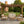 4-Piece Acacia Wood Patio Furniture Set