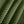 Ottoman Corduroy - Green