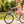 26 Inch 7-Speed City Commuter Bike With Lock & Detachable Basket