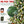 6ft Pre-Lit Artificial Christmas Tree with 380 Warm White LED Lights