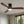 Low Profile Flush Mount Intergrated LED Ceiling Fan With Light And Silent Reversible Motor