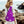 Unisex Sling Backpack Nylon Chest Shoulder Crossbody Bag Travel Sports Cycle Knapsack