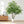 Artificial Banyan Tree With A Trunk And Lifelike Leaves, For Indoor And Outdoor Use - Green