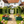 2-in-1 Raised Garden Bed with Trellis - 59