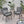 Outdoor Wicker Club Chair With Cushions (Set of 2)
