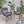 Outdoor Wicker Club Chair With Cushions (Set of 2)