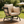 Sunnydaze Modern Luxury Egg Chair with Retractable Canopy - Taupe