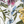 Outdoor Chair Cushions Set of 2, Botanical Floral