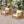 Outdoor Acacia Wood Club Armchair with Cushions (Set of 4)