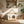 Daisy Cat House With Roof & Indoor Outdoor Pet Shelter For Cats & Small Dogs (11–25 Lbs) - White / Wood