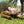 Acacia Wood Outdoor Dining Set with Ergonomic Seating - Seats 7-8