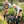 Wagon Cart Garden Cart