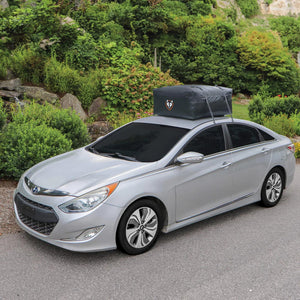 ACE CAR TOP CARRIERS - TRAPSKI