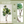 6FT Artificial Fiddle Leaf Fig Tree With Decorative Pot