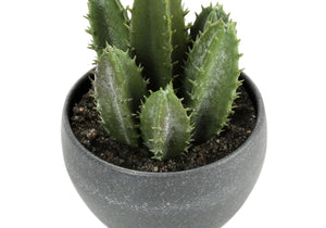 6" Tall Artificial Succulent Plant Set of 3