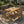5-Piece Outdoor Acacia Wood Dining Set, 54.75
