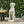 MGO Outdoor Dog Statue, Antique White