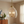 Zen Five Pendant Chain Hanging Light with Clear Glass - Satin