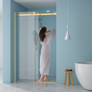 Modern Single Slide Shower Door, Tempered Glass, Stainless Steel Frame