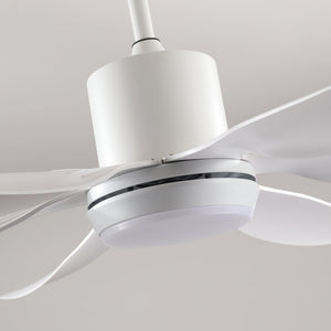 6 PCS ABS Blades 56" Ceiling Fan With Light Kit