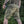 M-Tac Tactical Shorts Aggressor Gen.II Rip-Stop
