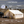 Alpha Pro Wall Tent
