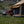 Altimus Bell Tent