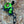 Three Wisemen Mount (Left Handed) Nock2it, Wise Choice, First Choice