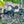 Gen 1 Ultraview Thumb Mount 3-4 Finger M-L (Left Handed)