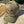 SFT2 Multicam Cap - TRAPSKI