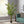 Artificial Palm Tree with Realistic Green Foliage - Green