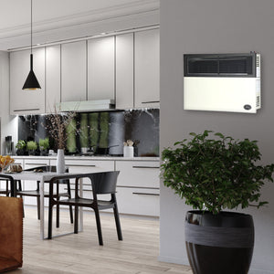 Ashley Hearth Products 17,000 BTU Direct Vent Liquid Buddy Propane Wall Mount Heater