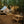 Avalon Bell Tent