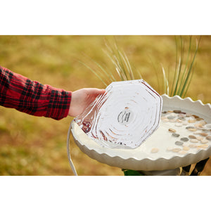 Farm Innovators 44W Economical Submersible Heated Shallow Bird Bath DeIcer, Foil