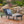 Puerta KD Chaise Lounge