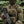M-Tac Harry PVC Patch
