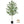 7FT Artificial Olive Tree Indoor Tall Faux with Planter & Basket