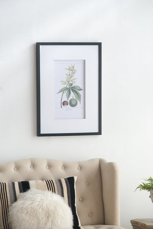 19.7x27.6 Botanical Wall Arts, Set of 2