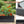 6x3x2 FT Metal Raised Garden Bed