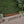 Intrinsic Outdoor Dining Bench With Slat Top