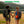 Camping Hammock with Mosquito Net 3-in-1 Portable 440lbs