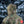M-Tac Winter Jacket Alpha Gen.IV Pro Primaloft