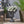 Delphine Urn Planter