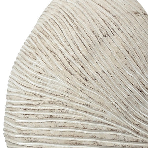 11.5x6.7x7.7" Sand and Cement Nautilus Shell Planter with Textured Beige Finish