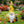 Magnesium Oxide Tree Spirit Old Man Statue With Bee Decor