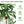 6FT Artificial Olive Tree Indoor Faux Plant